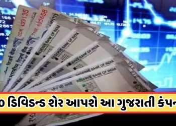 Dividend Share: Gujarati company to sell one share in 10 parts, record date announced, business in 51 countries.