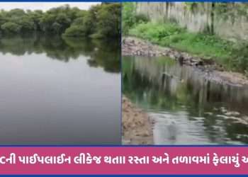 Mehsana: Oil spills into lake near Jotana, ONGC line breaks and leaks, watch video