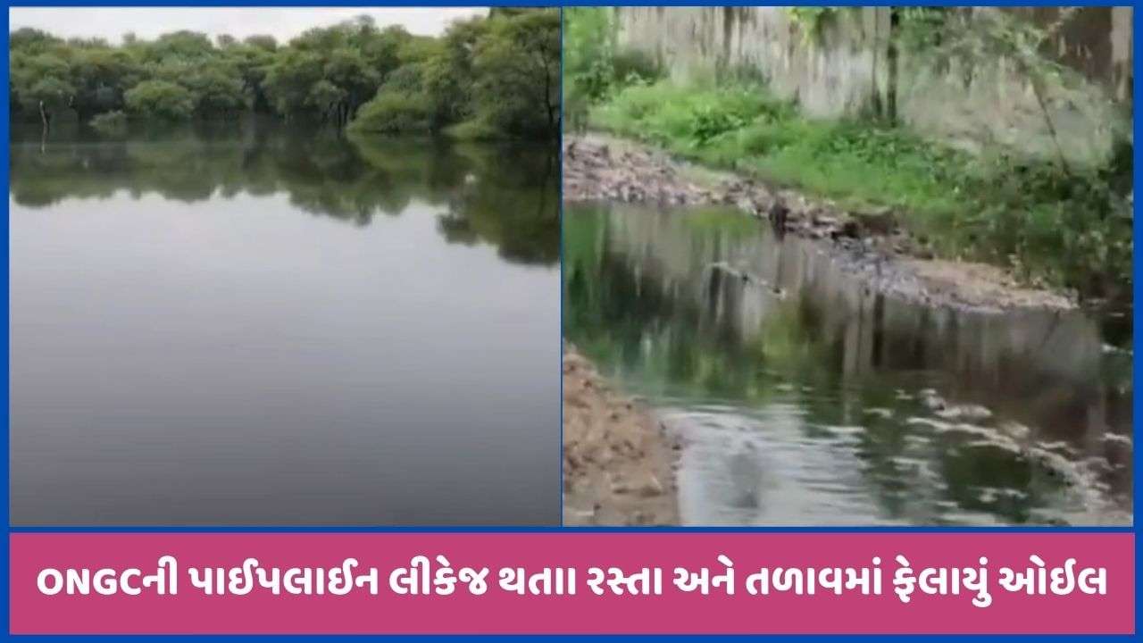 Mehsana: Oil spills into lake near Jotana, ONGC line breaks and leaks, watch video