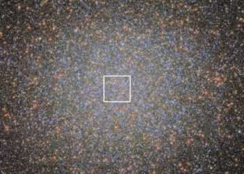 New black hole discovered by scientists behind star cluster and it could be the closest one to Earth