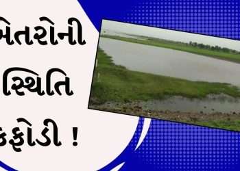 Rajkot Video : Rain has stopped in Dhoraji but the condition of the fields has deteriorated, the sons of the earth have asked for help from the government