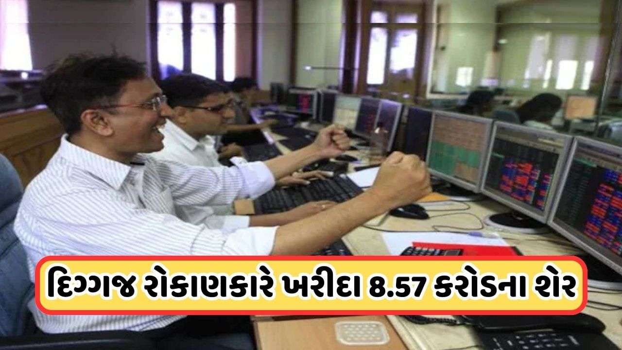 Shares of this small company rose 4000%, the company will give bonus shares, Shankar Sharma bought 3.65 lakh shares