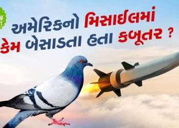 Why doves were placed in missiles by America during the Second World War?