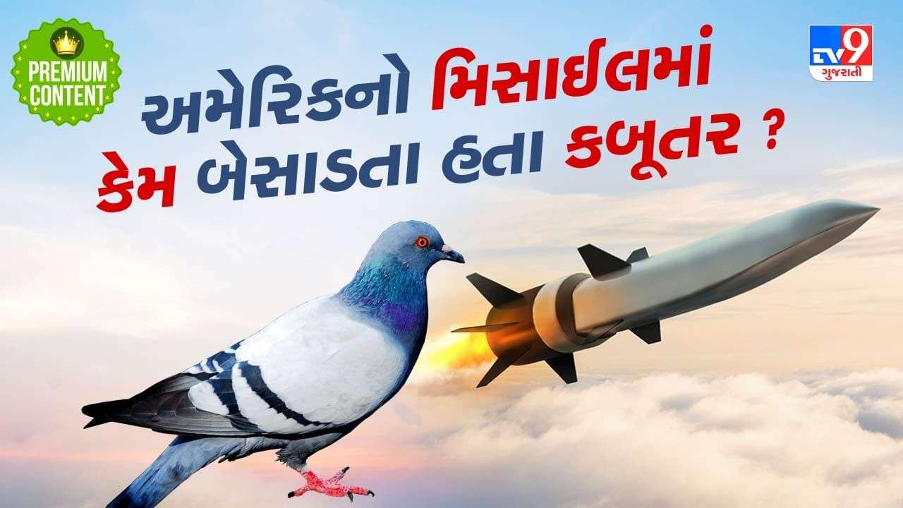 Why doves were placed in missiles by America during the Second World War?