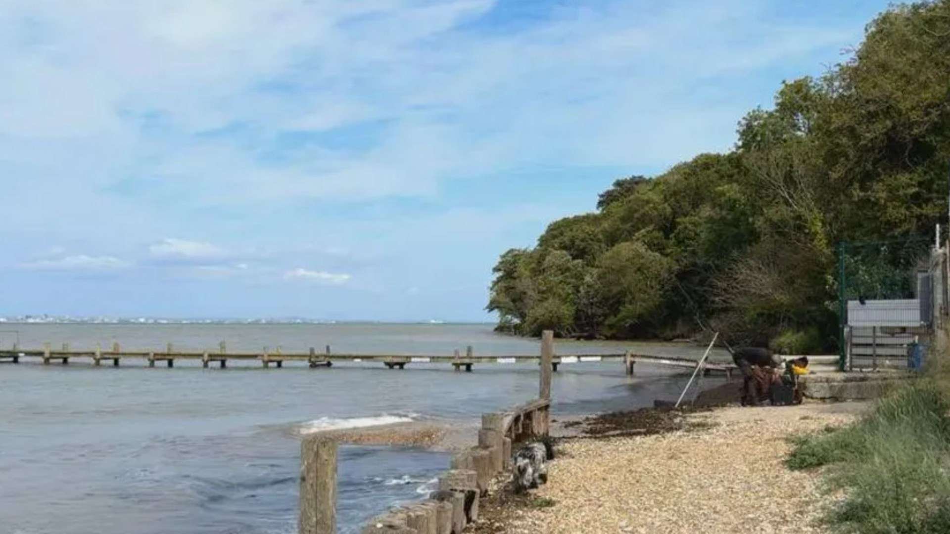 Body found in search for missing 18-year-old after he was last seen on Isle of Wight beach