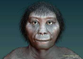 Bones of mysterious HOBBITS that roamed paradise island 700,000 years ago are found…& they’re smaller than first thought