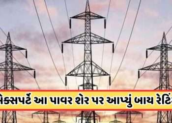 Experts Say Buy: This power share will go to 40, the company has become debt free, LIC also has 10 crore shares