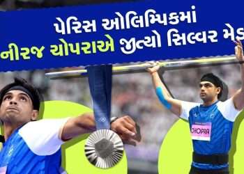 Neeraj Chopra wins silver medal, Pakistan's Arshad Nadeem becomes champion, watch video