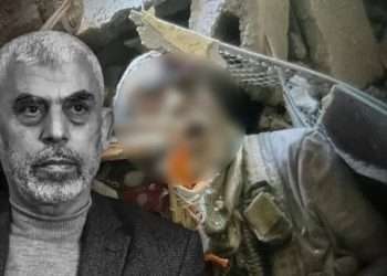 Death of Hamas chief Yahya Sinwar, DNA test revealed, Israel killed 3 big enemies in 3 months