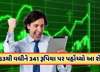 To invest in such shares! People's money doubled in 6 months, Radhakishan Damani has more than 43 lakh shares