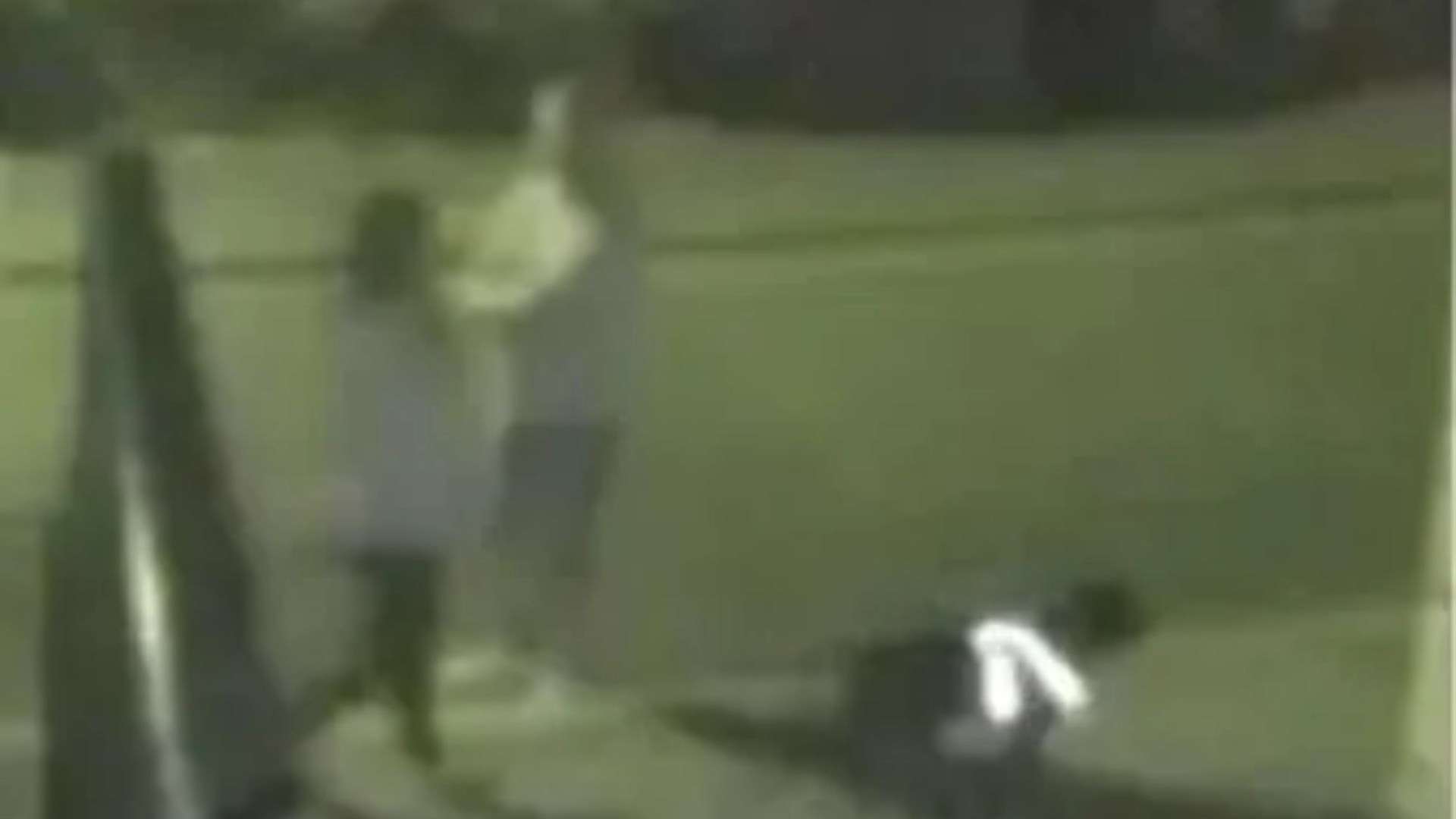 Woman forced into car & raped before escaping & begging dogwalker for help as cops share CCTV to track down attackers