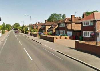 XL Bully killed after being ‘deliberately attacked’ with two men arrested over dog’s death XL Bully killed after being ‘deliberately attacked’ with two men arrested over dog’s death