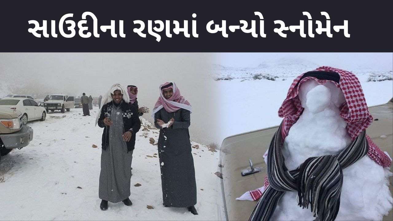 For the first time in history, Saudi camels walked on snow instead of desert, it snowed in the desert, see pictures