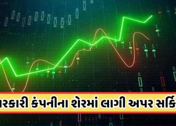 Big Order: As soon as Adani Group placed a big order, it bought heavily in the shares of this government company, took an upper circuit of 5%.