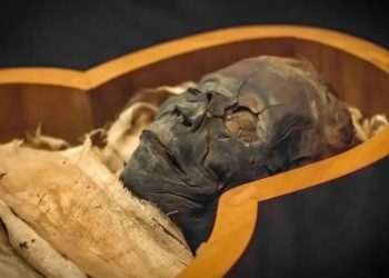 Eerie Egyptian mummy who suffered agonising fate reveals terrifying ‘Black Death’ secret for the first time in millennia