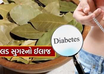 Bay Leaf for Diabetes : “Tej patta pan” will reduce high blood sugar quickly, consume it like this