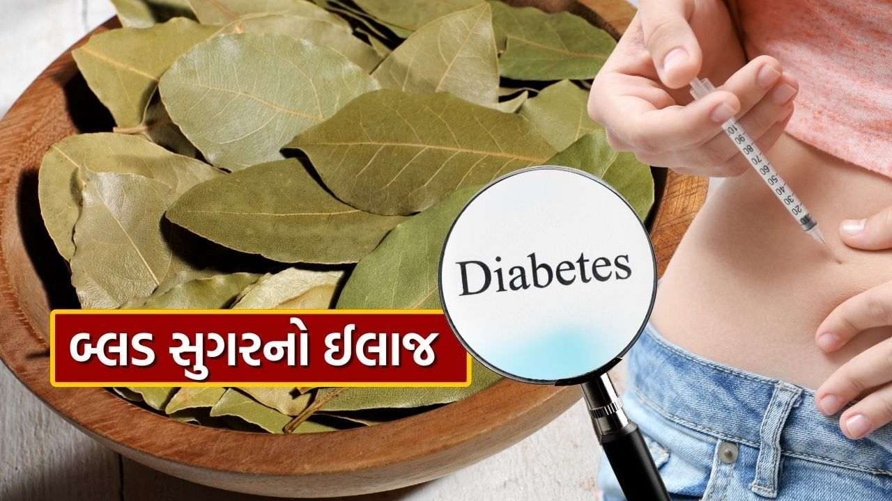 Bay Leaf for Diabetes : “Tej patta pan” will reduce high blood sugar quickly, consume it like this