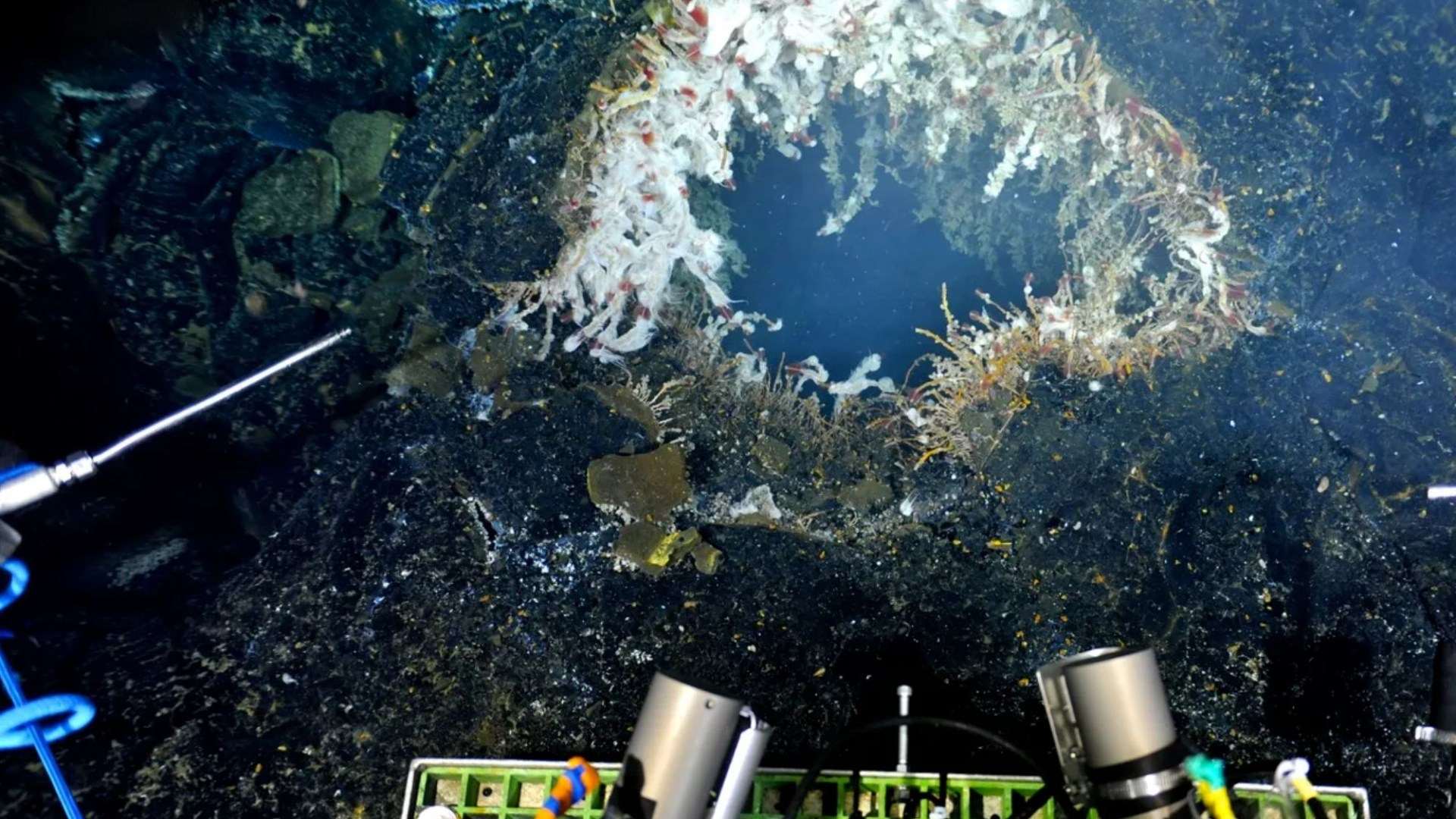 Giant mile-wide hidden volcano set to ERUPT from beneath the waves ‘imminently’ near US mainland, experts predict