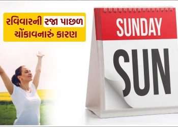 Sunday Holiday: Why is Sunday a holiday in India and when did this practice start? Know the shocking reason