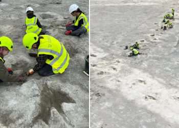 UK’s biggest dinosaur footprint site uncovered with hundreds of massive tracks from 166million years ago