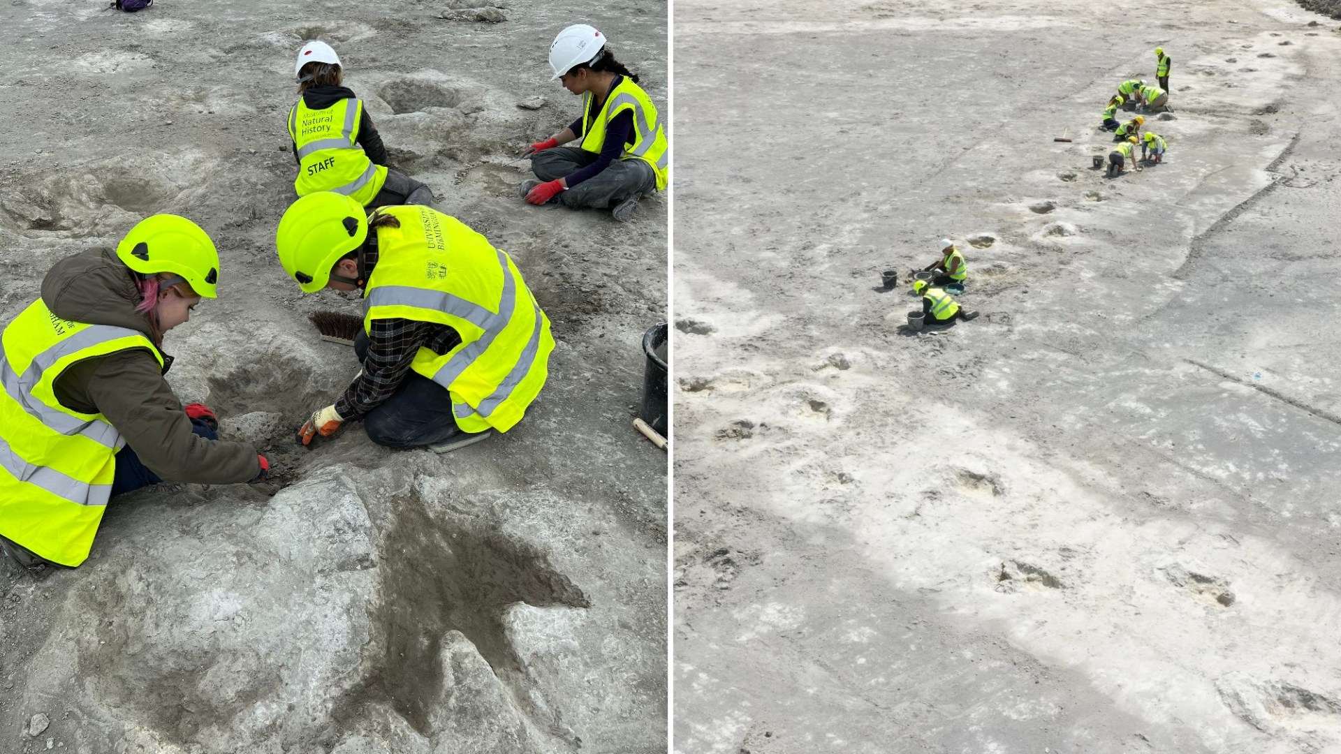 UK’s biggest dinosaur footprint site uncovered with hundreds of massive tracks from 166million years ago