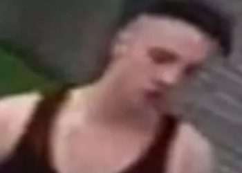 Urgent hunt for man in vest after woman sexually assaulted and mugged in alleyway as cops release CCTV