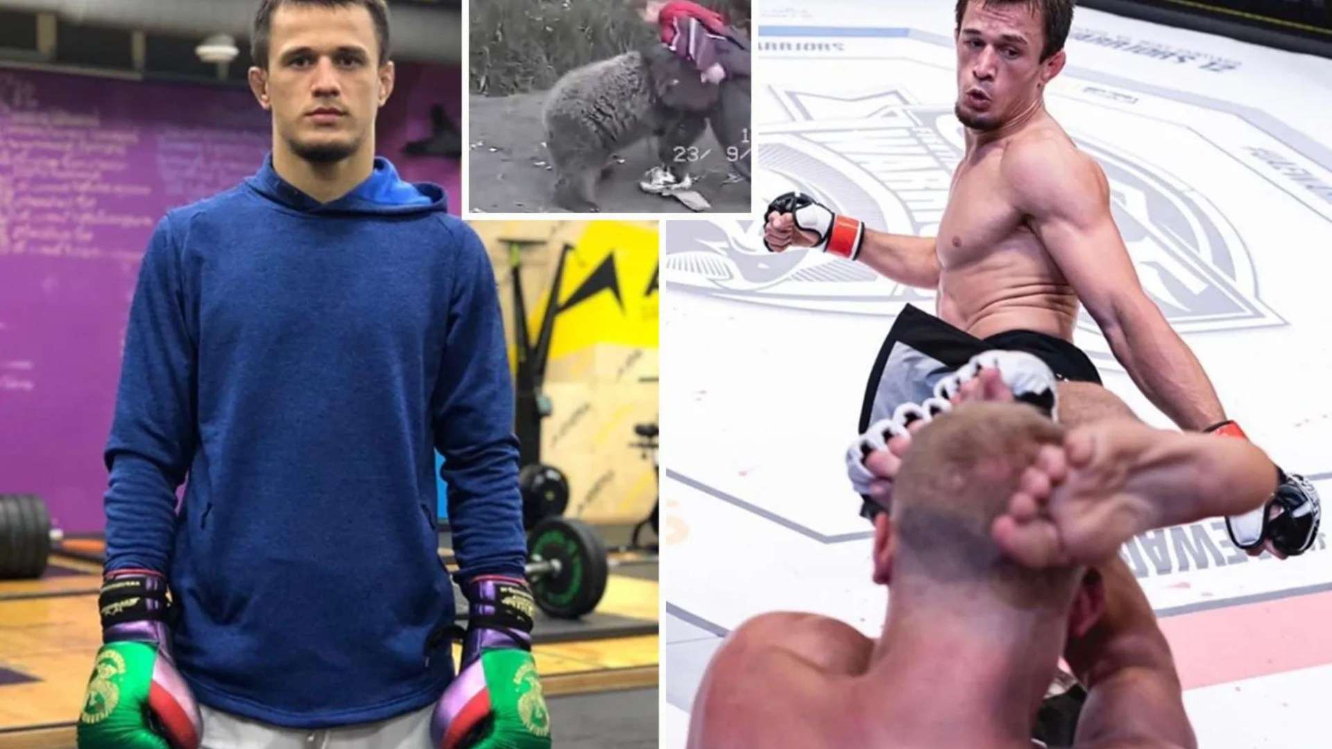 Usman Nurmagomedov is the undefeated MMA prodigy part of legendary family who wrestled BEARS before becoming champ