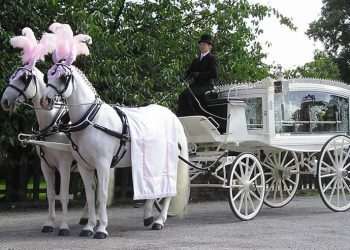 Bay Tree Funerals Extends Reach Across Leicester and Leicestershire Bay Tree Funerals Extends Reach Across Leicester and Leicestershire