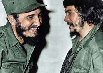 Che Guevara’s daughter evokes the spirit of dead revolutionary Fidel Castro at Palestine rally