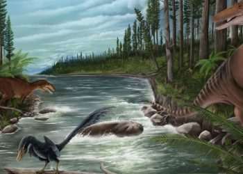 Major discovery sheds new light on giant 20ft ‘mega raptor’ that stalked Earth 120m years ago