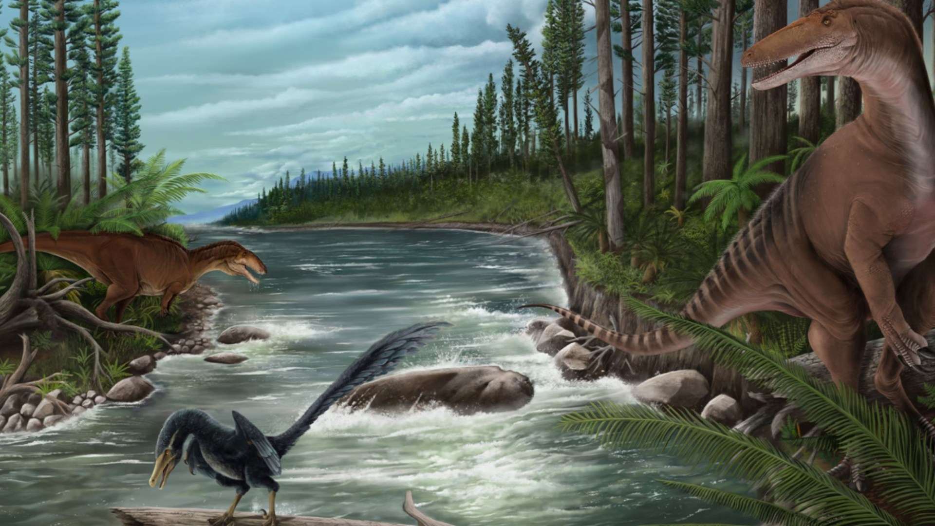Major discovery sheds new light on giant 20ft ‘mega raptor’ that stalked Earth 120m years ago