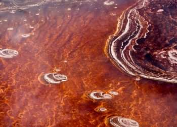 Stunning pink lake is one of the world’s DEADLIEST – it hides a mysterious secret that turns animals to ‘stone’