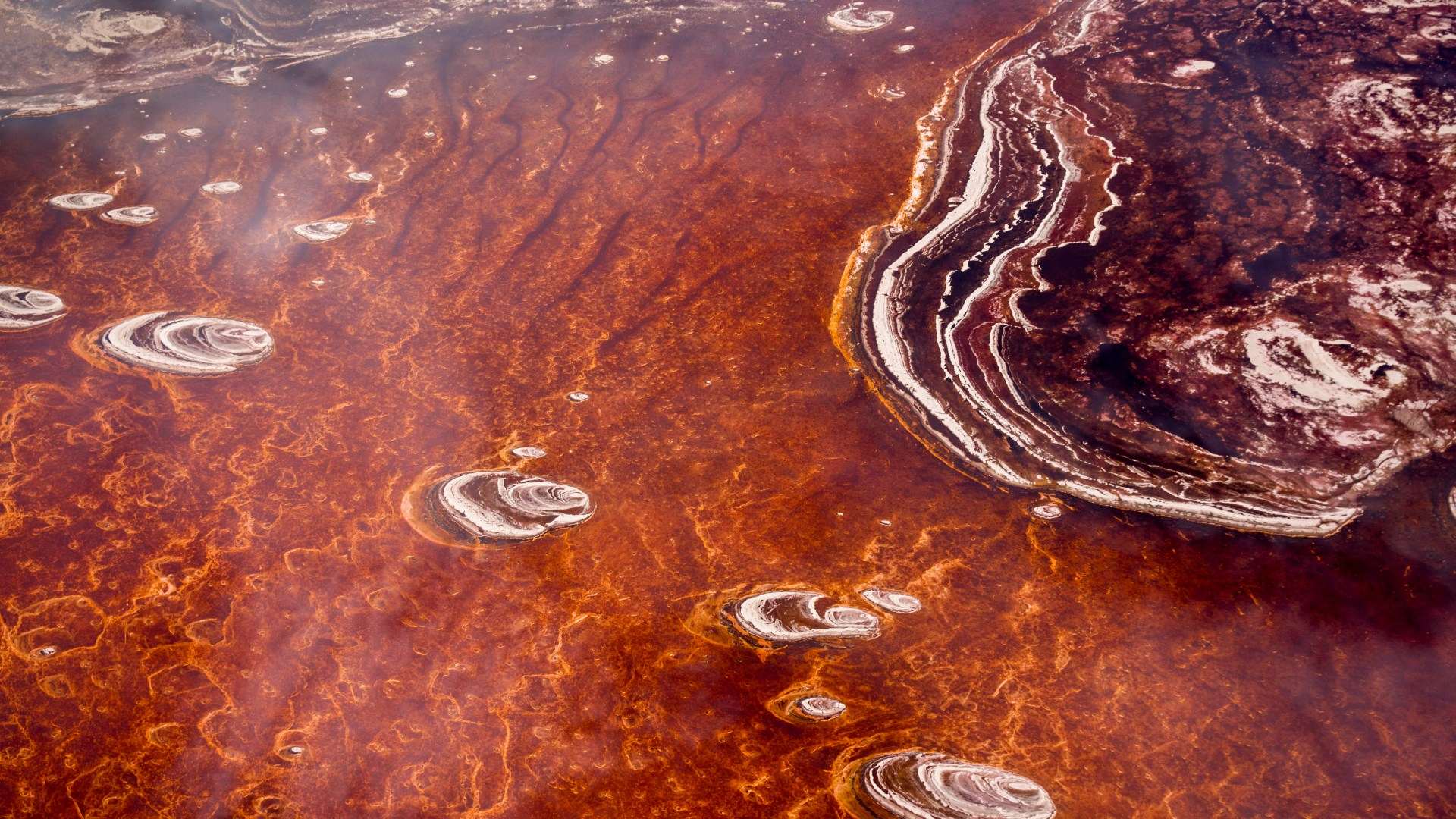 Stunning pink lake is one of the world’s DEADLIEST – it hides a mysterious secret that turns animals to ‘stone’