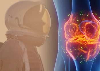 The easy 1-minute exercise inspired by astronauts that boosts life expectancy and protects your knees until old age The easy 1-minute exercise inspired by astronauts that boosts life expectancy and protects your knees until old age