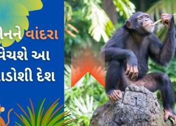 Why does this neighboring country of India want to sell monkeys to China? The big reason came out