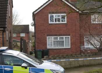 Horror as man is viciously attacked ‘by XL Bully’ in back garden of home & rushed to hospital Horror as man is viciously attacked ‘by XL Bully’ in back garden of home & rushed to hospital