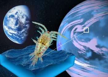 Alien plankton, oceans & 33 day years… Everything we know about ‘super earth’ K2-18b that is ‘teeming with life’