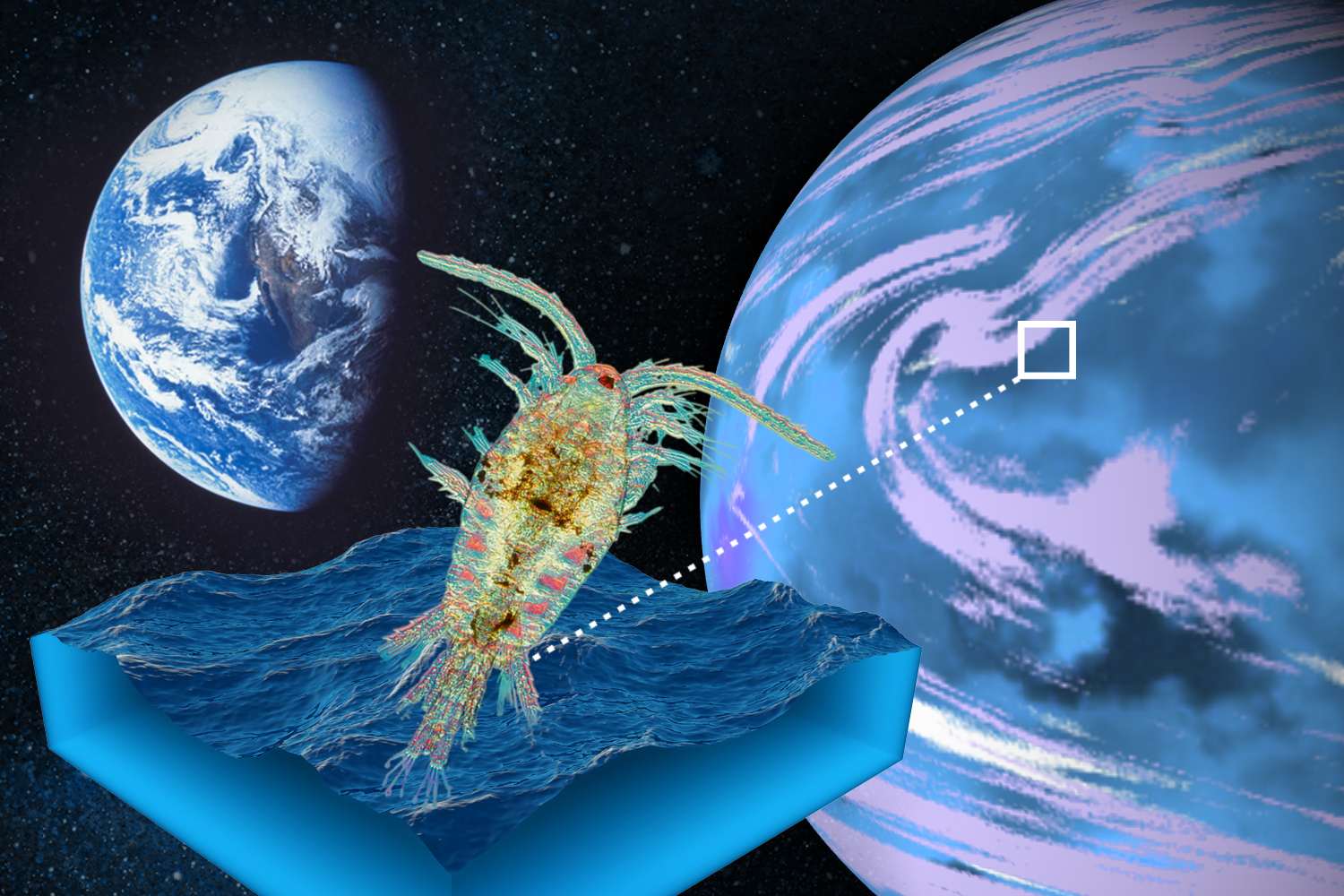 Alien plankton, oceans & 33 day years… Everything we know about ‘super earth’ K2-18b that is ‘teeming with life’