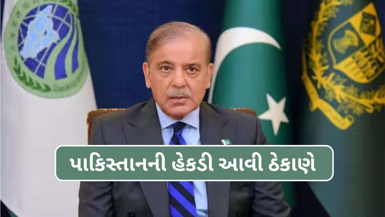 BREAKING NEWS: Pakistan backs! Shahbaz Sharif said- Pakistan is ready to investigate Pahlgam attacks