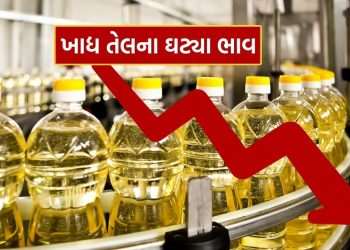 Edible Oil Prices Fall: Price of edible oil falls, know what is Gujarat connection?
