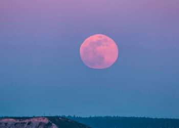 Exact time to see full Pink Moon spectacle this week – and you don’t need ANY equipment