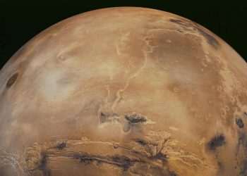 Exact type of lifeform that could live on brutal Mars surface revealed – even surviving deadly radiation bombardment