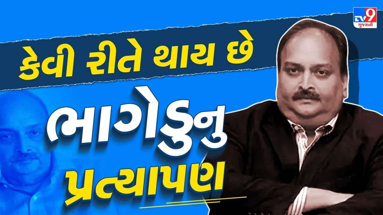 When is the criminal declared a fugitive? How will the Government of India bring back Mehul Choksi?