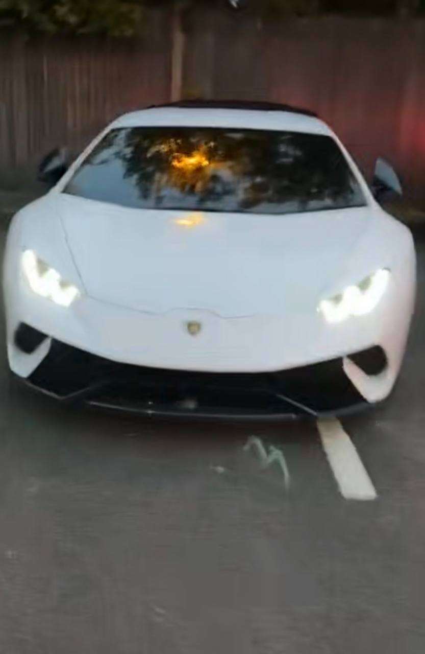 Lamborghini Thief Caught in Supercar Sting
