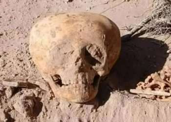 Disturbing alien-like skull belonging to ‘archaic’ human stuns experts who say ‘barbaric’ deformation ritual is to blame