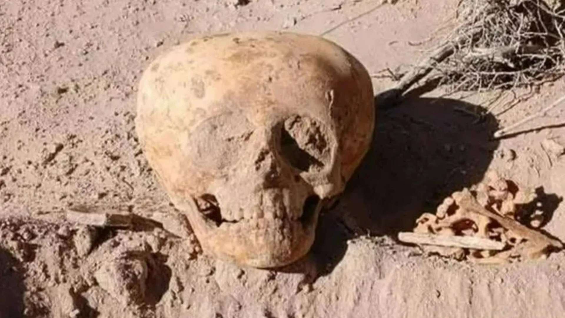Disturbing alien-like skull belonging to ‘archaic’ human stuns experts who say ‘barbaric’ deformation ritual is to blame