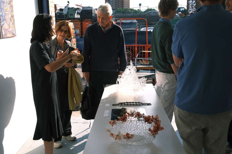 A Site for Situated Practices: Mezzanine