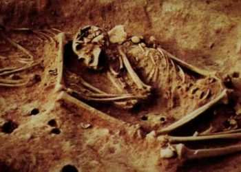 Archaeologists find 6,000-year-old skeletons from Colombia with ancient DNA which could rewrite human history