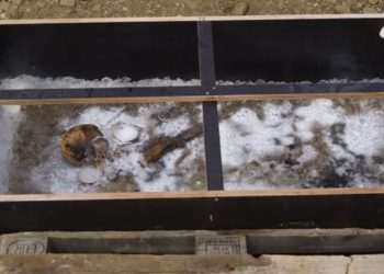 Bizarre 1,350-year-old burial of blue-eyed ‘Ice Prince’ uncovered alongside dismembered sacrifice and treasure