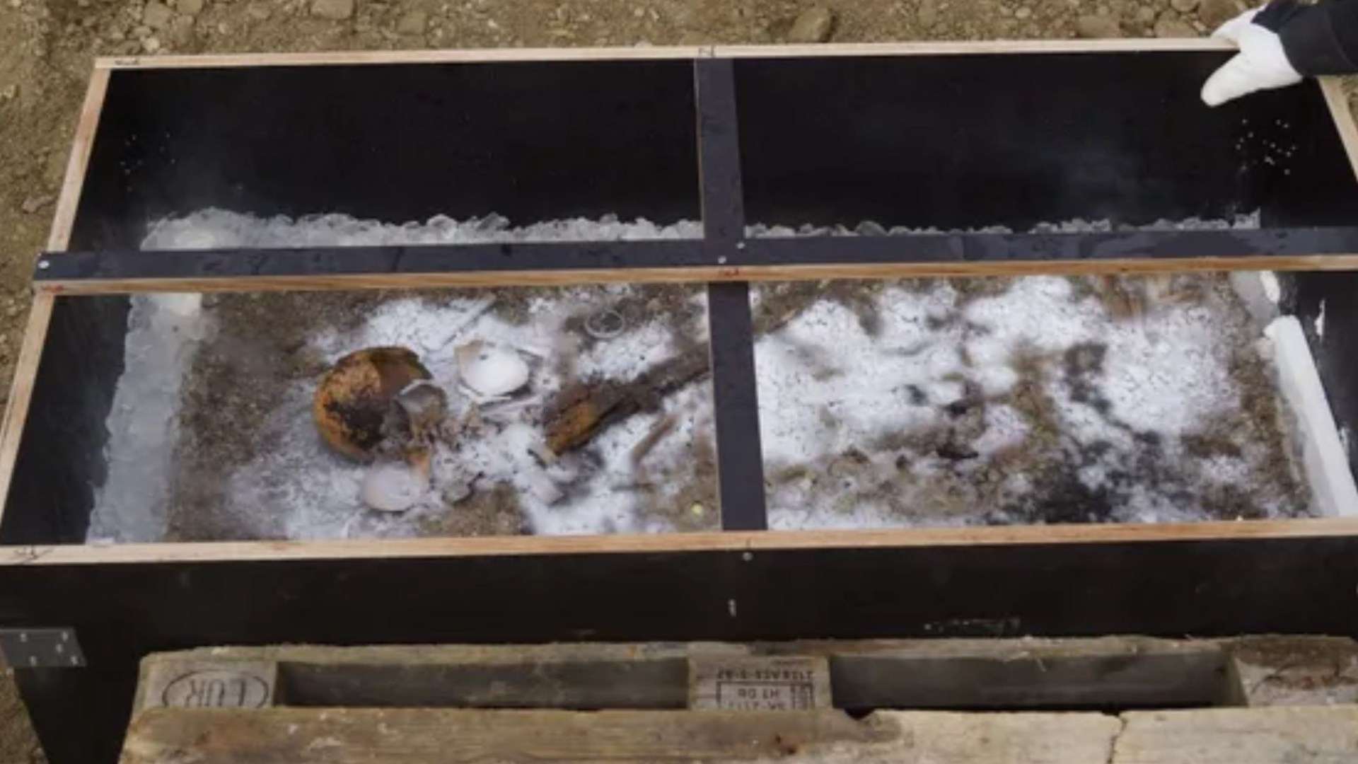 Bizarre 1,350-year-old burial of blue-eyed ‘Ice Prince’ uncovered alongside dismembered sacrifice and treasure